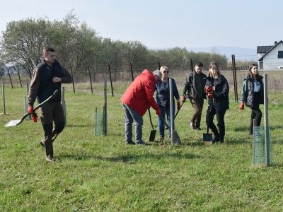 Uczestnicy sadzenia drzewek w ZUW Świniarsko.