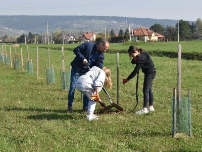 Uczestnicy sadzenia drzewek w ZUW Świniarsko.